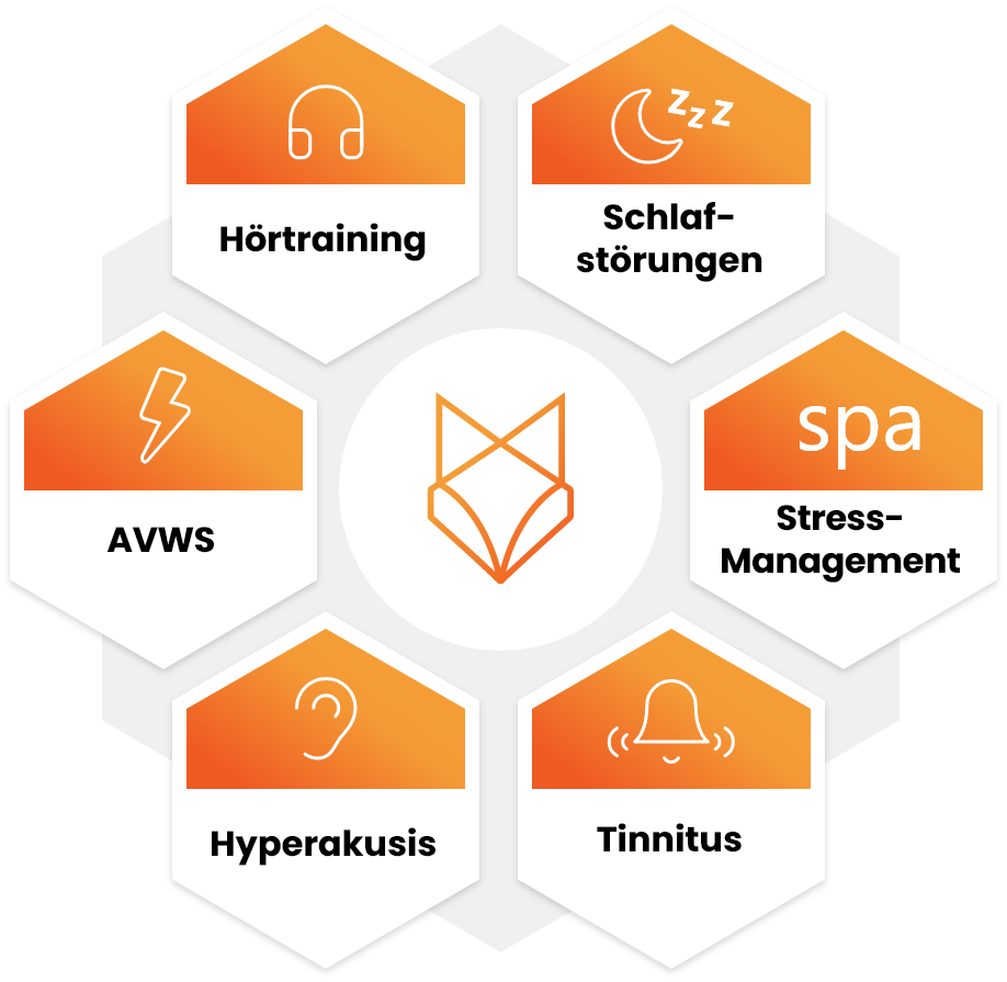 Hörtraining, Schlafstörung, Stress-Management, Tinnitus, Hyperakusis, AVWS